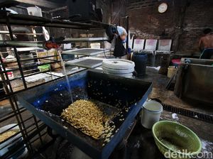 Biang Kerok Naiknya Harga Kedelai yang Bikin Perajin Tempe Mogok Biang Kerok Naiknya Harga Kedelai yang Bikin Perajin Tempe Mogok