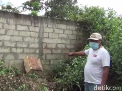 Tega! Sapi untuk Kurban Dicuri dengan Dipotong di Tempat, Cuma Disisa Jeroan