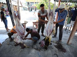 WHO Keluarkan Panduan Idul Adha Aman di Tengah Pandemi Corona