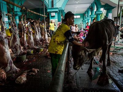 Begini Panduan Potong Kurban di Era New Normal