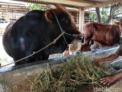 Cara Aman Salat Idul Adha di Masa Pandemi agar Tak Tertular Corona