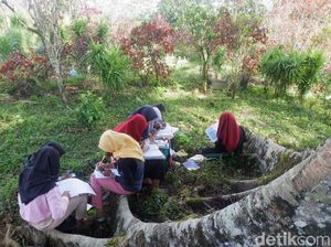 Susah Sinyal, Siswa SMP di Banjarnegara Ini Terpaksa Belajar di Makam
