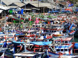 Omnibus Law Cipta Kerja Diketok, Nelayan Urus Izin Kapal Cuma di KKP