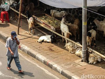 Trotoar Tanah Abang Jadi Tempat Jualan Hewan Kurban