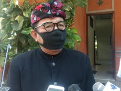 Soal Penolakan Jerinx Cs, Wagub Tegaskan Bali Tetap Berlakukan Tes Corona