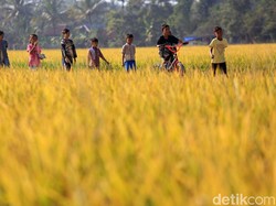 Mengenal Tradisi Petani Huma dari Pandeglang