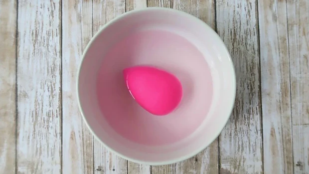 Makeup Sponge / www.thetrendspotter.net Makeup Sponge