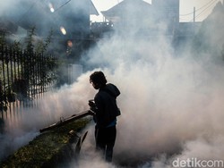 China-Singapura Dihantui Chikungunya, RI Aman? Kemenkes Bilang Gini