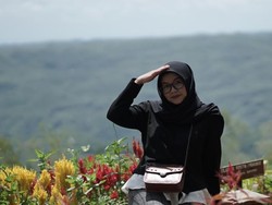 Hutan Pinus Mangunan, Dulunya Tandus Kini Digemari Wisatawan