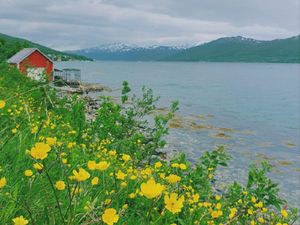 Foto: Utara Bumi yang Penuh Bunga