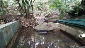 Foto: Mata Air di Ciamis yang Konon Bisa Sembuhkan Penyakit