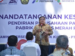 Pabrik Katalis Merah Putih Mulai Dibangun September