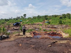 Polisi Jambi Razia Sumur Minyak Ilegal di Dalam Hutan, Pelaku Berhasil Kabur