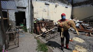 Aksi Superhero di Solo Bagikan Hewan Kurban ke Panti Asuhan