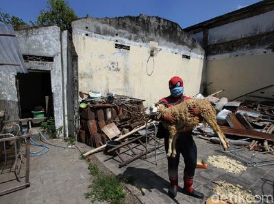 Aksi Superhero di Solo Bagikan Hewan Kurban ke Panti Asuhan