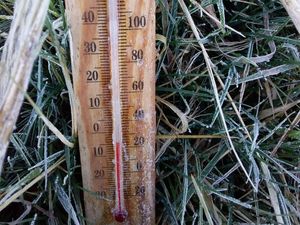 Suhu Minus 4 Derajat, Hari Ini Embun Es di Dieng Makin Luas dan Tebal Suhu Minus 4 Derajat, Hari Ini Embun Es di Dieng Makin Luas dan Tebal
