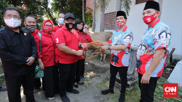 Solo, CNN Indonesia - Bakal Calon Walikota Solo, Gibran Rakabuming Raka menyerahkan seekor sapi kurban kepada Dewan Pimpinan Cabang (DPC) PDIP Solo, Kamis (30/7). Selain ke DPC PDIP, Gibran juga memberi hewan kurban kepada lima Pengurus Anak Cabang (PAC) PDIP di Solo