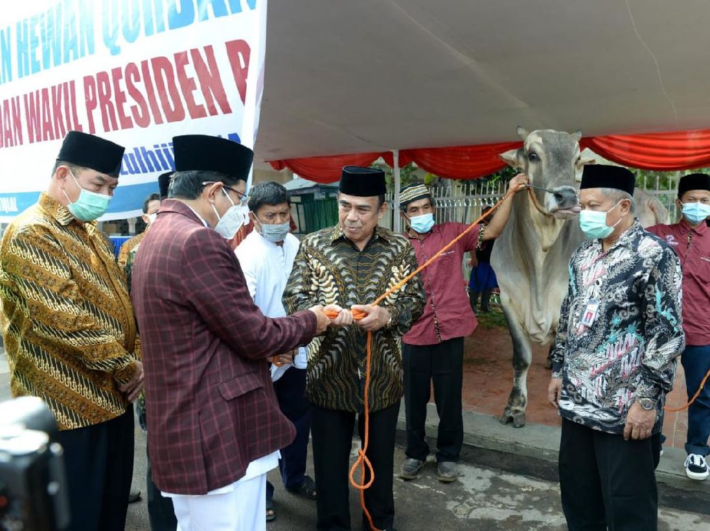 Jokowi Sumbang Sapi Kurban 1,08 Ton ke Masjid Istiqlal