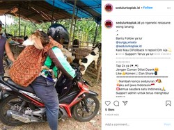 Aduh-aduh, Abang Ojol Angkut Kambing seperti Gendong Balita