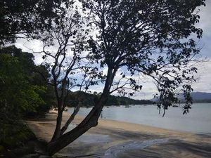 Bukan Berwarna Putih, Pantai di Malaysia Pasirnya Hitam