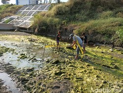 Asyik Cari Ikan, Anak-Anak di Lamongan Temukan Tengkorak Manusia
