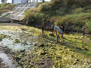 Asyik Cari Ikan, Anak-Anak di Lamongan Temukan Tengkorak Manusia Asyik Cari Ikan, Anak-Anak di Lamongan Temukan Tengkorak Manusia