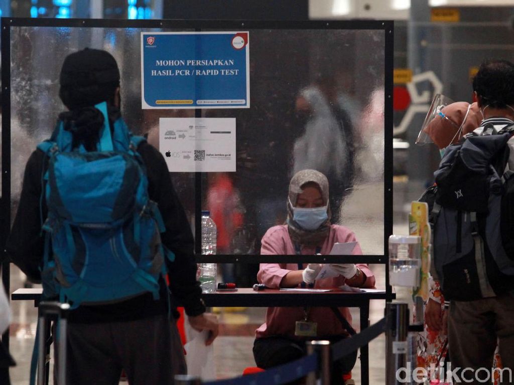 Cerita Traveler yang Naik Pesawat di Momen Idul Adha Cerita Traveler yang Naik Pesawat di Momen Idul Adha