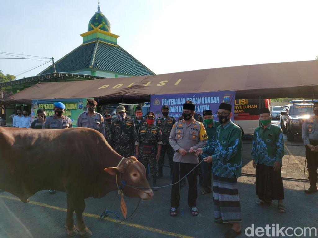 Polisi Sumbang Hewan Kurban ke Sejumlah Ponpes di Ngawi Polisi Sumbang Hewan Kurban ke Sejumlah Ponpes di Ngawi