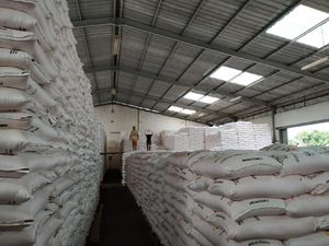 Pupuk Indonesia Siapkan Stok 347.664 Ton Pupuk Nonsubsidi untuk Petani