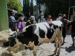 Jelang Idul Adha, 125 Pedagang Hewan Kurban Ajukan Izin Jualan di Surabaya