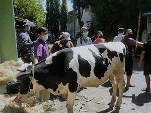 Jelang Idul Adha, 125 Pedagang Hewan Kurban Ajukan Izin Jualan di Surabaya Jelang Idul Adha, 125 Pedagang Hewan Kurban Ajukan Izin Jualan di Surabaya