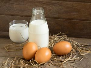 Selain Vitamin C, Ternyata Susu & Telur Bisa Jaga Imunitas Tubuh