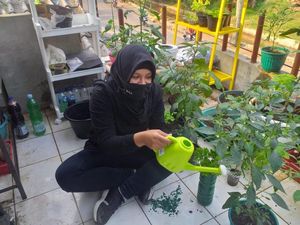 Ini Manfaat Berkebun di Rumah yang Kini Jadi Tren di Tengah Pandemi