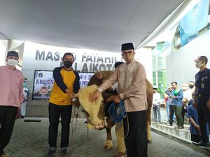 Berkurban Sapi 1,3 Ton, Anies Cerita Beda Idul Adha Tahun Ini