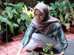 Bukan Sekadar Tren, Ini Manfaat Berkebun di Rumah Menurut Psikolog