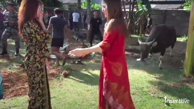Cinta Laura
