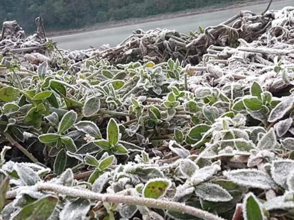 Brrrr... Suhu Minus 3 Derajat, Embun Upas Bekukan Gunung Semeru Brrrr... Suhu Minus 3 Derajat, Embun Upas Bekukan Gunung Semeru