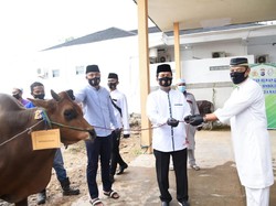 Kapolda Kalsel Bagikan 70 Ekor Hewan Kurban ke Warga Terdampak COVID-19