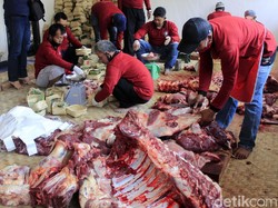 4 Langkah yang Harus Dilakukan Panitia Kurban Cegah PMK