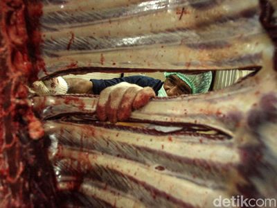 Melihat dari Dekat Pemotongan Hewan Kurban di RPH Cakung