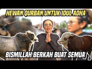 Idul Adha, Nikita Mirzani Kurban 2 Sapi Jumbo Seberat 1 Ton Lebih!