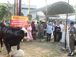 Pemkab Serang Salurkan Hewan Kurban ke Pesantren hingga DKM