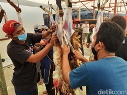 Punya Riwayat Kolesterol Tinggi, Amankah Makan Torpedo Kambing?