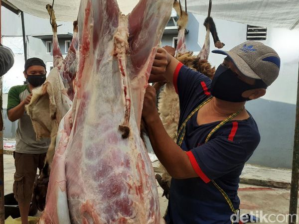 Pemotongan Hewan Kurban di Bekasi