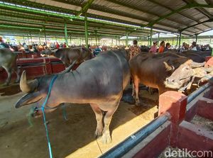 Begini Caranya Biar Kurban Tahun Depan Nggak Bikin Bokek
