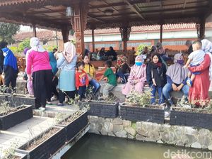 Korban Gugat Perdata Bigboss Paket Kurban Bodong di Cianjur Korban Gugat Perdata Bigboss Paket Kurban Bodong di Cianjur