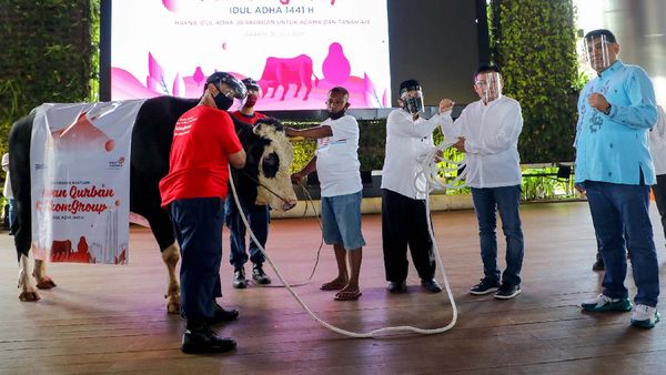 TelkomGroup Tebar 1000 Hewan Kurban ke Penjuru Indonesia