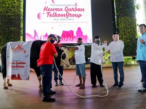 TelkomGroup Tebar 1000 Hewan Kurban ke Penjuru Indonesia