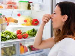 10 Cara Menghilangkan Bau Kulkas Tak Sedap dengan Mudah