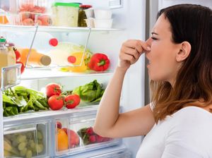 10 Cara Menghilangkan Bau Kulkas Tak Sedap dengan Mudah 10 Cara Menghilangkan Bau Kulkas Tak Sedap dengan Mudah